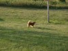 rusty4.jpg